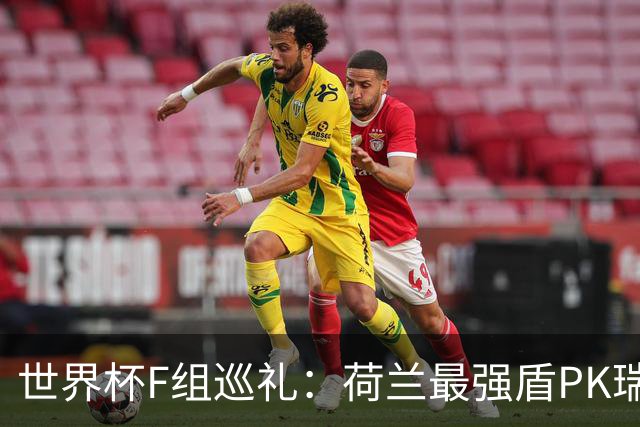 世界杯F组巡礼：荷兰最强盾PK瑞典犀利刀 日本短板明显